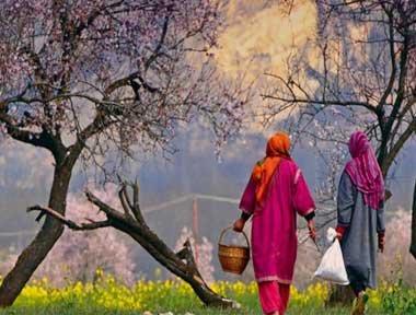 Kashmir Tour Packages in Lehladakhtourism.com