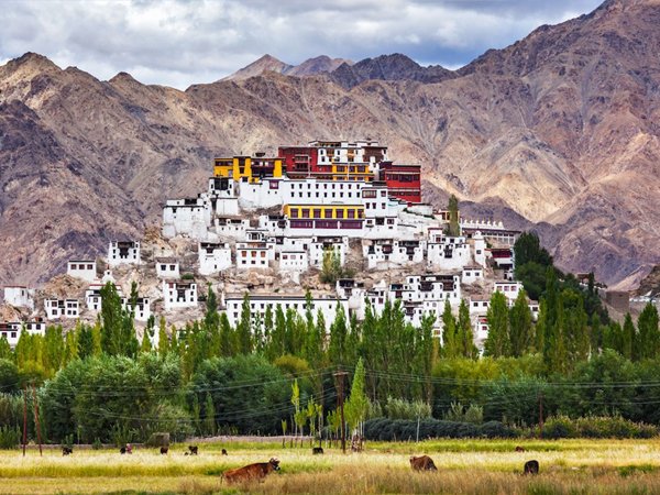 Ladakh Monasteries in redcliffadventure.com
